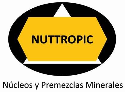 Imagen 24 creaciones y arte foto