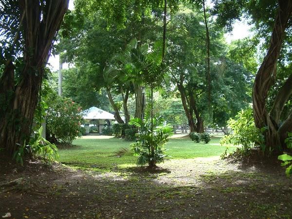 Imagen 2 El Torito foto