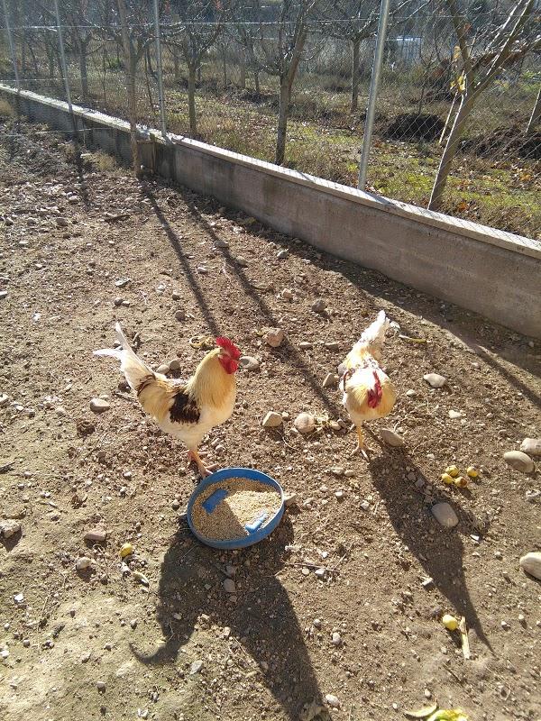 Imagen 103 Casa Rural El Abrigaño foto