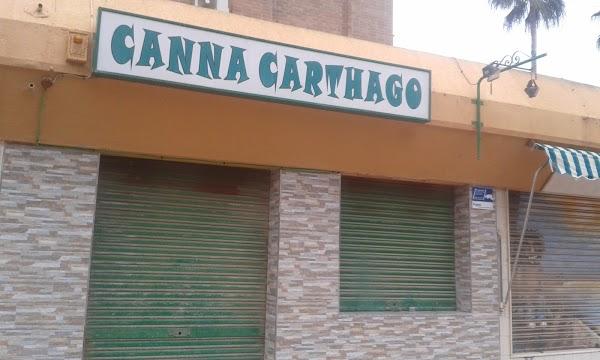Imagen 43 Cannacarthago foto