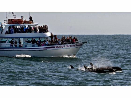 Imagen 3 Passarela foto