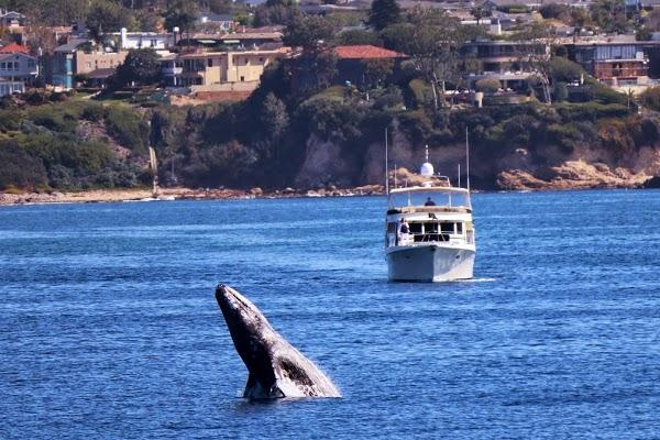 Imagen 5 Passarela foto