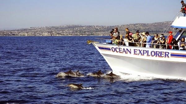 Imagen 6 Passarela foto