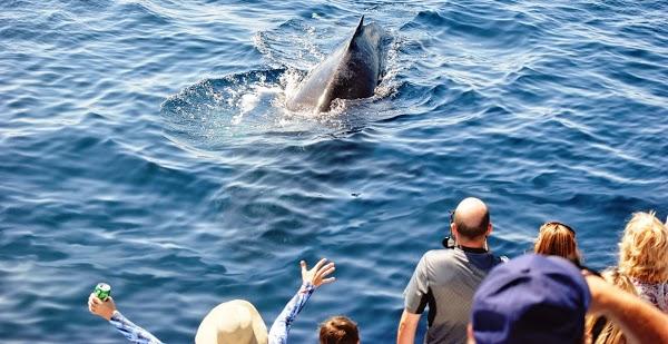 Imagen 7 Passarela foto