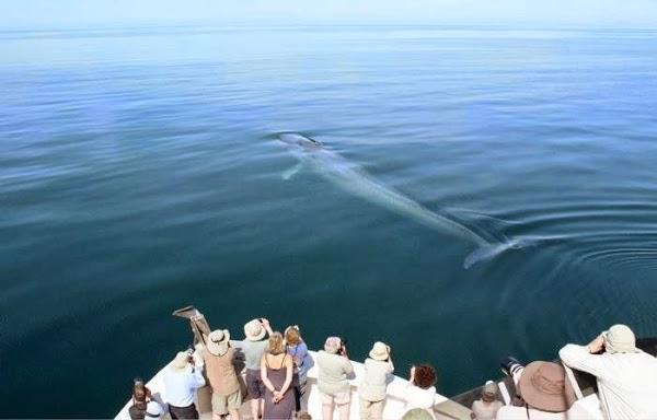 Imagen 9 Passarela foto