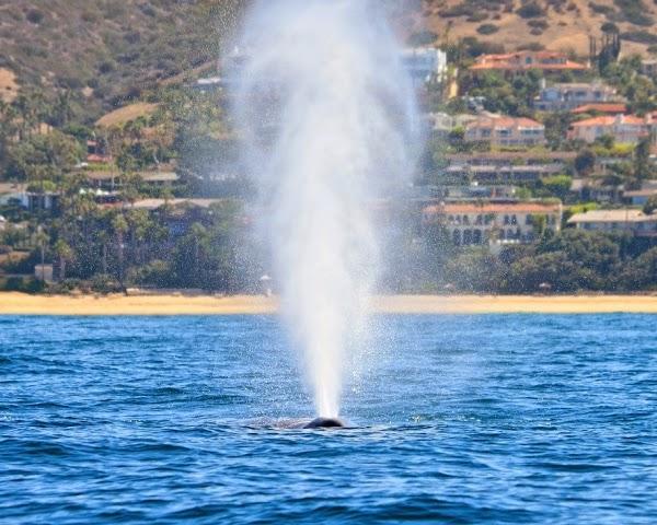 Imagen 10 Passarela foto