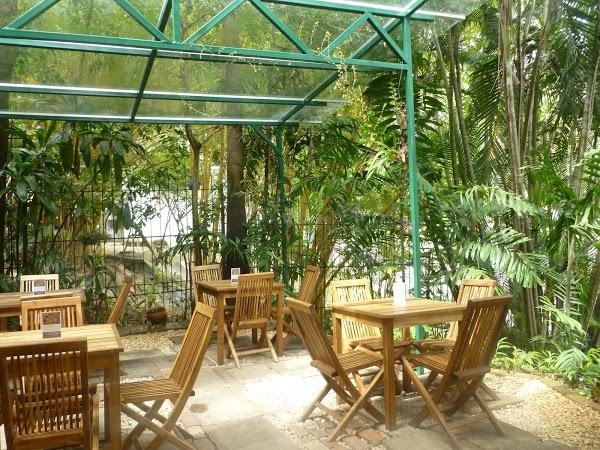 Imagen 1 Mazda Cumbres foto