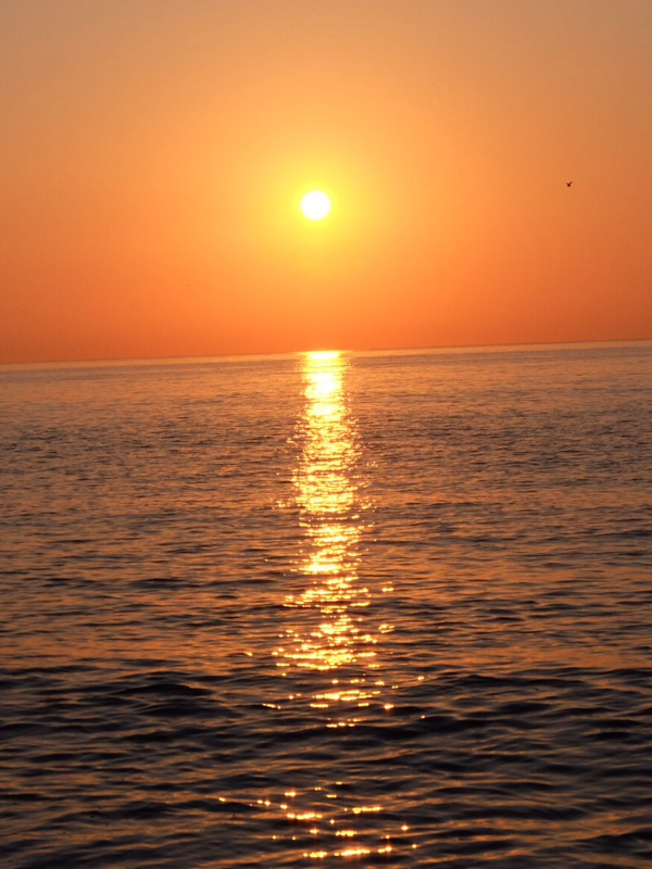 Imagen 11 Mazda Cumbres foto