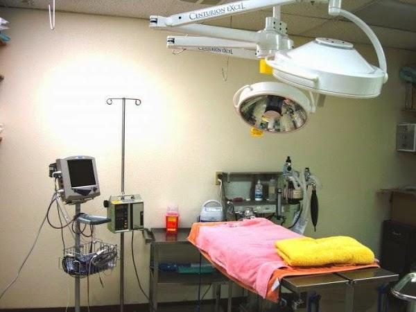 Imagen 18 Mazda Cumbres foto