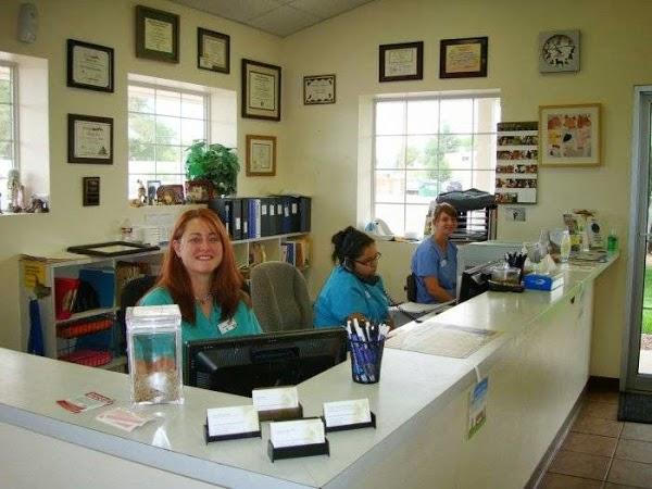 Imagen 20 Mazda Cumbres foto