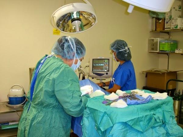 Imagen 8 Mazda Cumbres foto