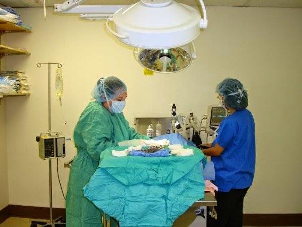 Imagen 9 Mazda Cumbres foto