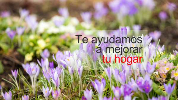 Imagen 34 Centro Comercial Isla Canela foto