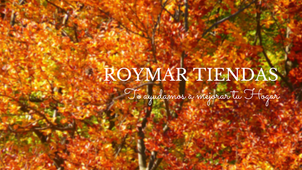 Imagen 36 Centro Comercial Isla Canela foto