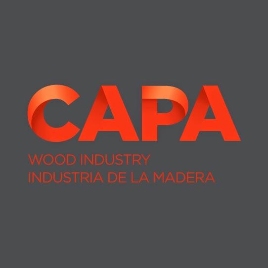 Imagen 13 Capa. Wood industry. Industria de la madera foto