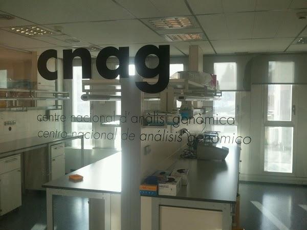 Imagen 1 Atefor SL foto