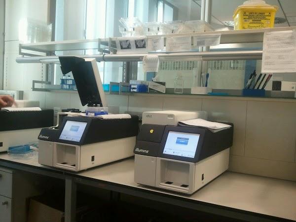 Imagen 3 Atefor SL foto