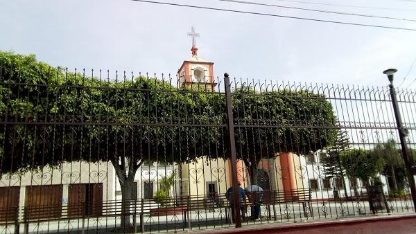Imagen 66 Dulcería Doña Carmen foto