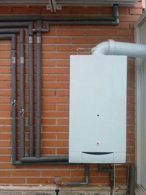 Imagen 1 Floristeria Karizmi foto