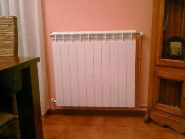 Imagen 20 Floristeria Karizmi foto