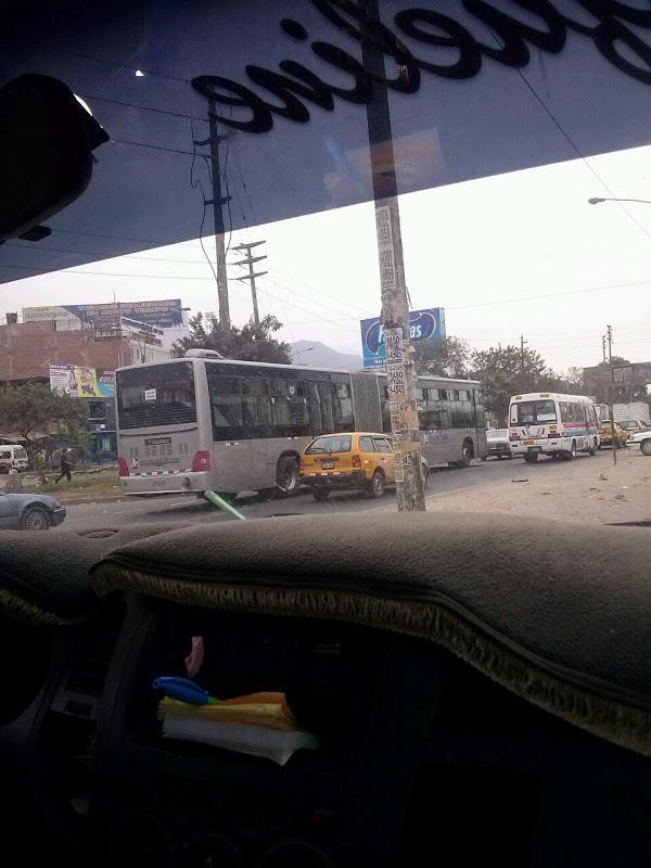 Imagen 1 Semillas Garcia foto