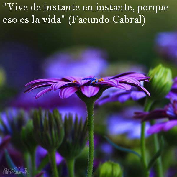 Imagen 10 Compuhardware foto