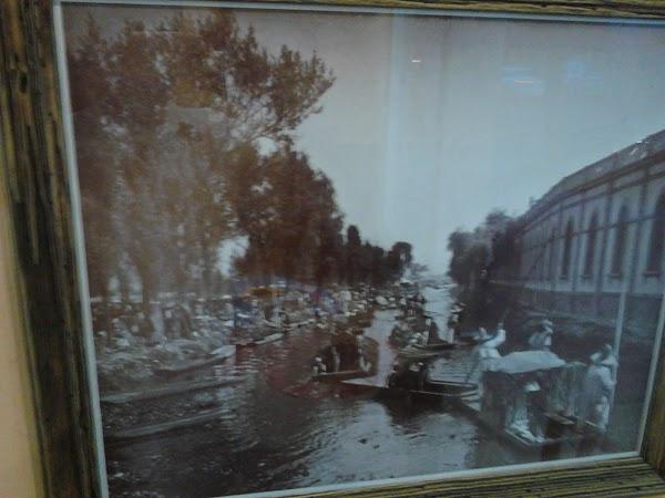 Imagen 42 I.E.S Nueva Isleta Tony Gallardo foto