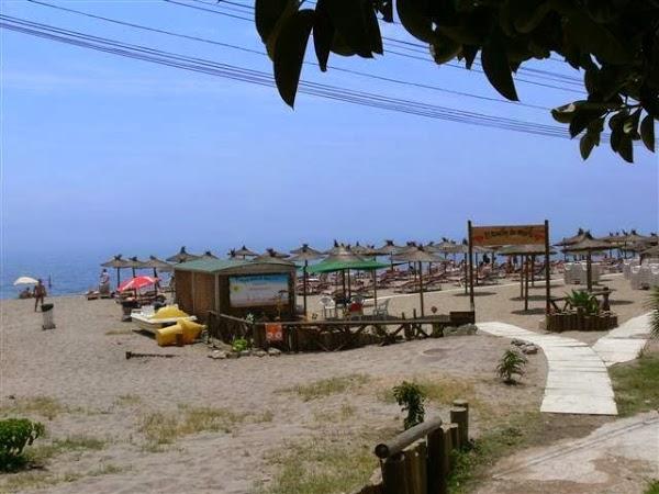 Imagen 7 Congelados DECA foto