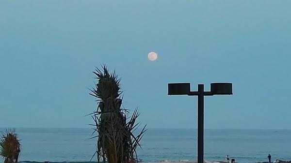 Imagen 39 Radisson Blu Edwardian, Hampshire foto