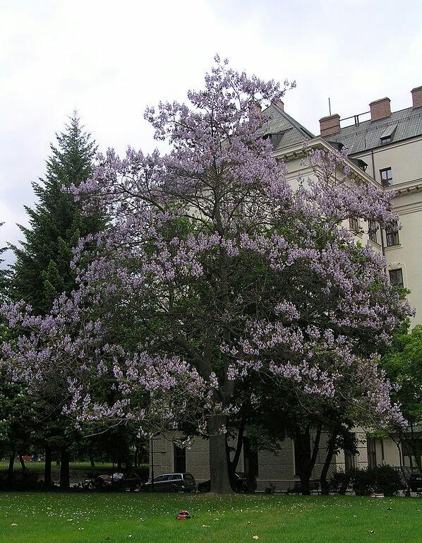 Imagen 29 Roca Barcelona Gallery foto