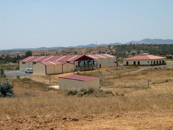 Imagen 27 La Mafia se sienta a la mesa foto