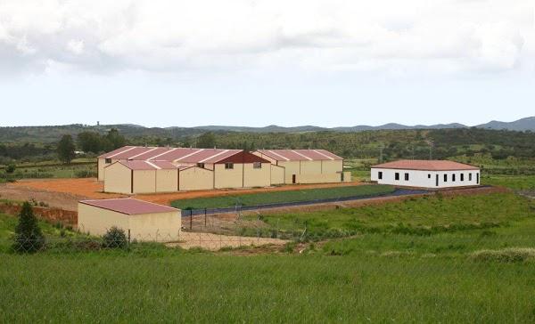 Imagen 36 Lloyds Beach Club foto