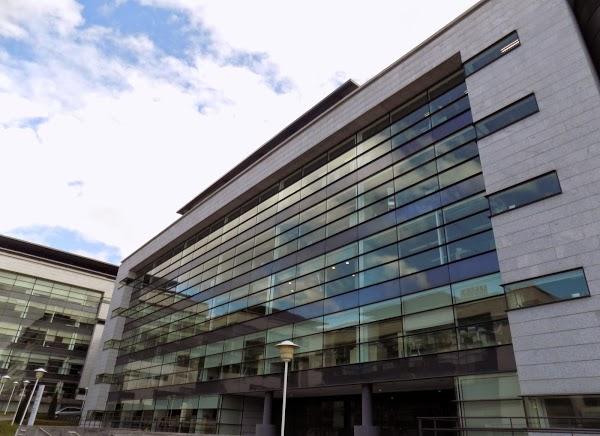 Imagen 11 Parrilla Príncipe foto