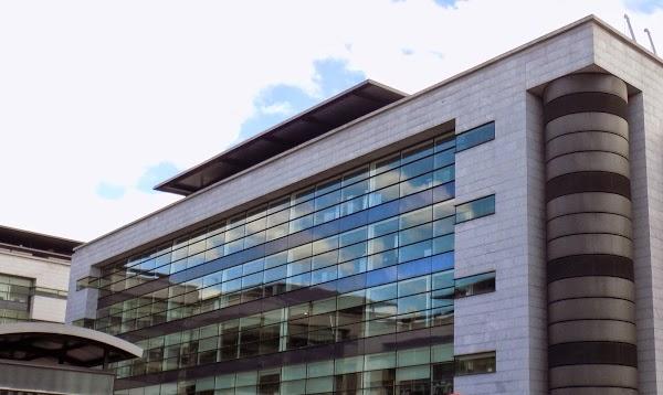 Imagen 19 Parrilla Príncipe foto