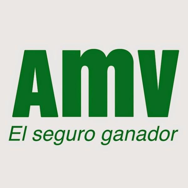 Imagen 27 Music Store Canarias foto