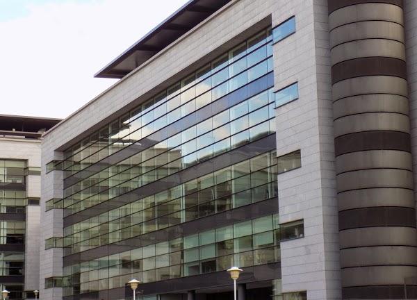 Imagen 32 Music Store Canarias foto