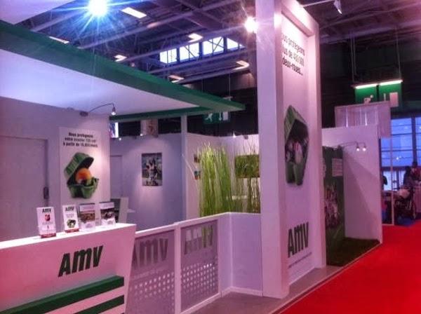 Imagen 33 Music Store Canarias foto