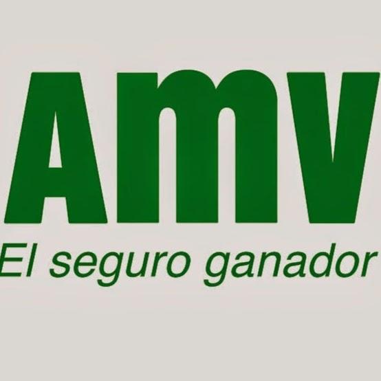 Imagen 77 Music Store Canarias foto