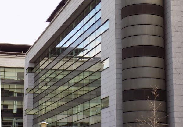 Imagen 84 Music Store Canarias foto