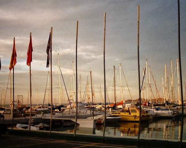 Imagen 40 Hotel Bonanza foto