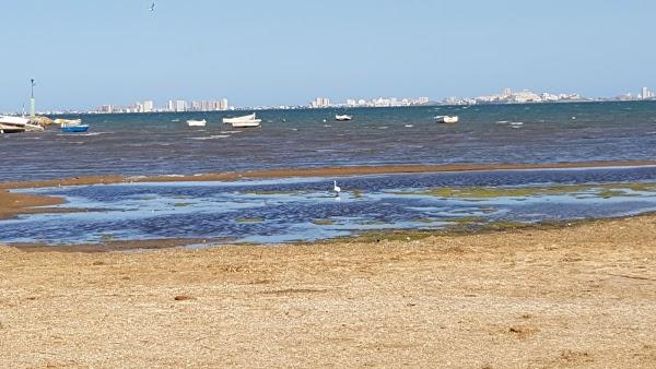 Imagen 44 Hotel Bonanza foto