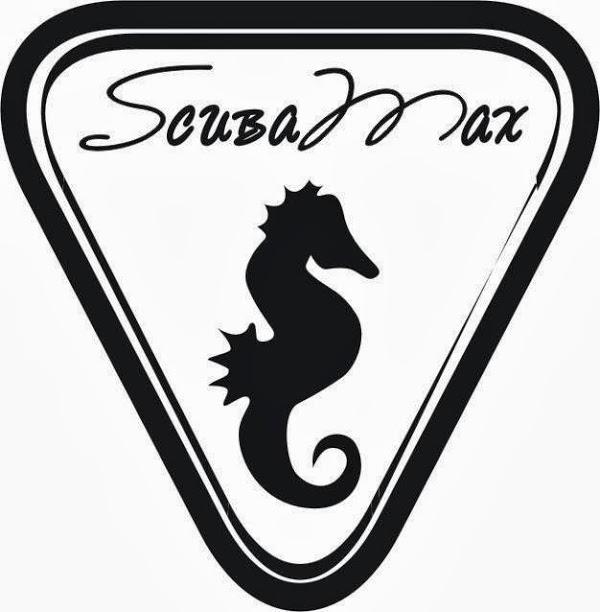 Imagen 3 Medusa Buceo foto