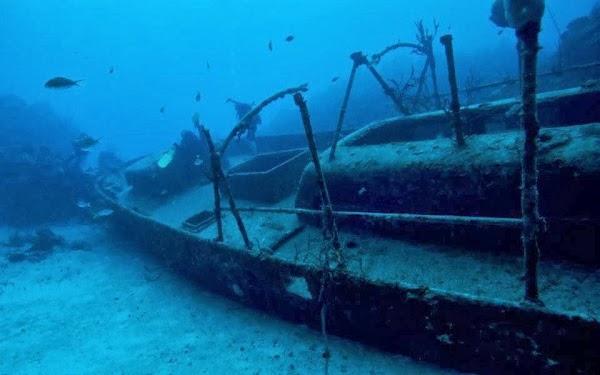 Imagen 4 Medusa Buceo foto