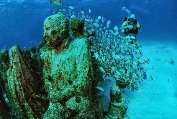 Imagen 8 Medusa Buceo foto