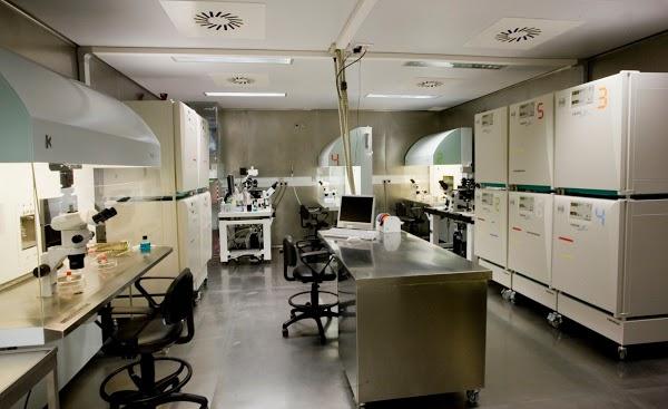 Imagen 118 Farmacia Puig foto