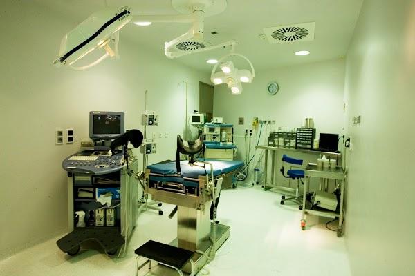 Imagen 121 Farmacia Puig foto