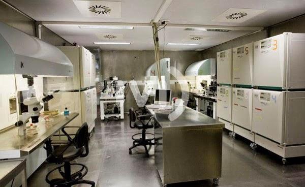 Imagen 80 Farmacia Puig foto