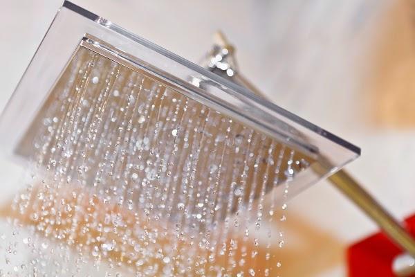 Imagen 17 Daimús foto