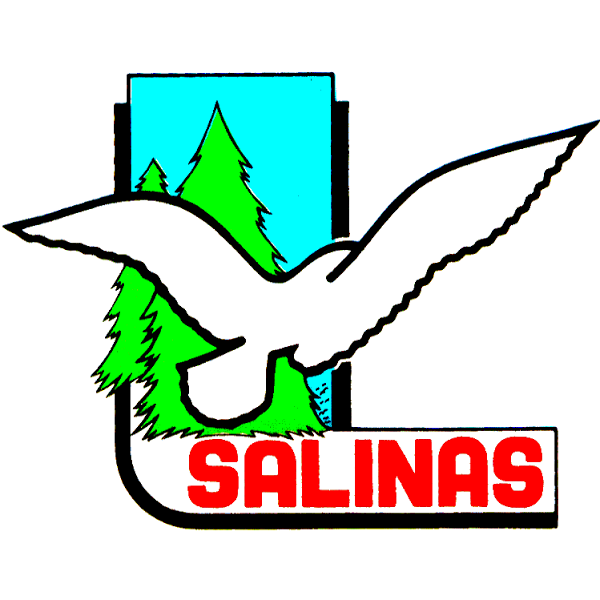 Imagen 11 Santa María del Tepeyac Cerro del Cuatro foto