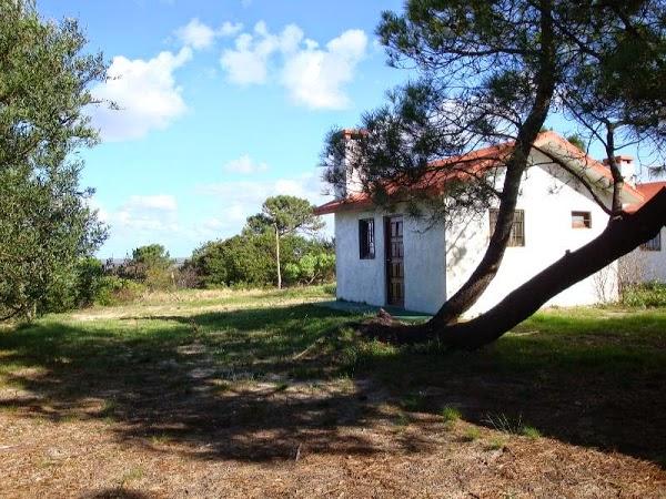 Imagen 29 Santa María del Tepeyac Cerro del Cuatro foto